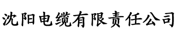 宝可梦之堕落的瑟蕾娜电缆厂logo